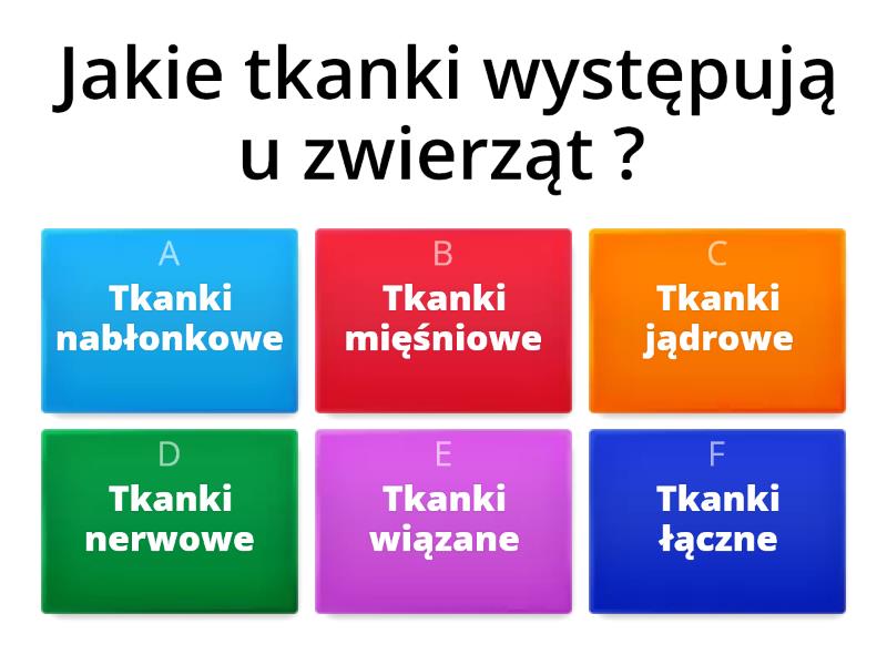 Tkanki: Nabłonkowa, Mięśniowa I Nerwowa - Test