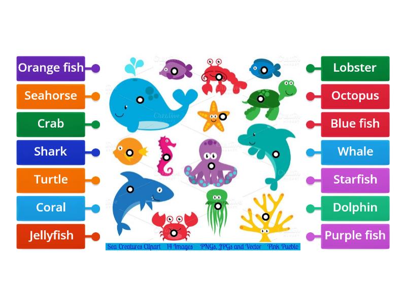 Topic ESL Activitity Label the sea creatures - Labelled diagram