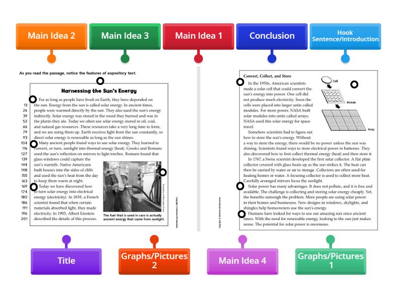 Label the paragraphs according to Expository Text Structure - Labelled ...