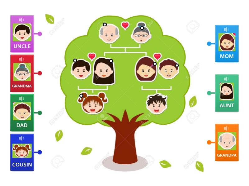 Family Tree - Labelled Diagram