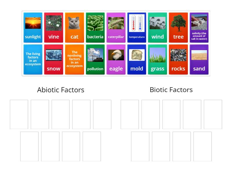 Abiotic vs Biotic Factors - Group sort