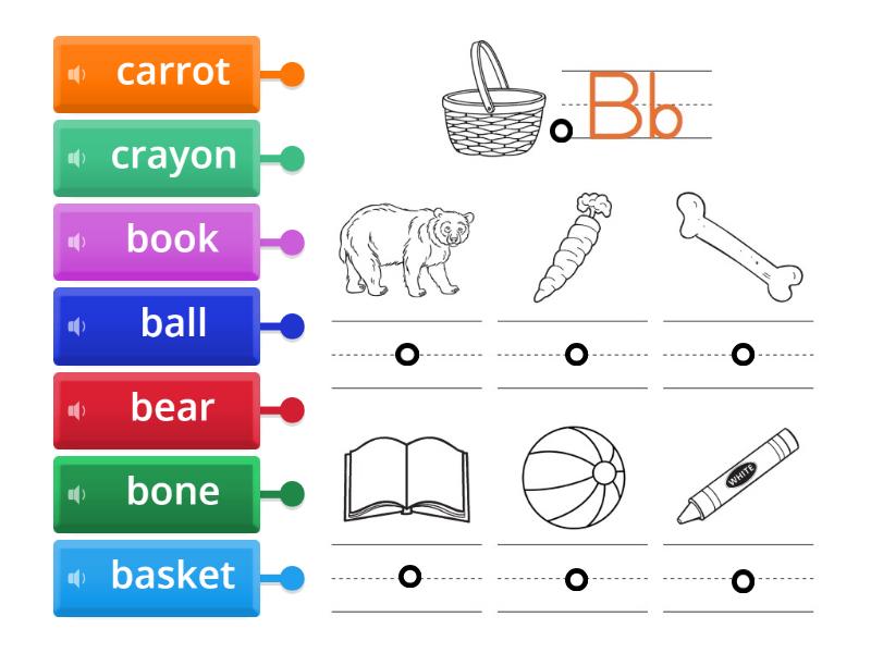 Vocabulary Building - Labelled Diagram