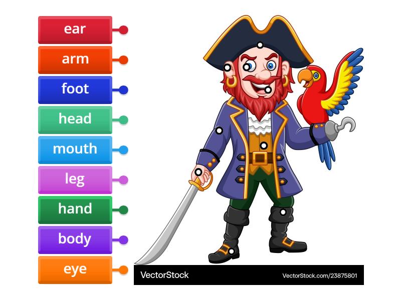pirate+body parts - Диаграмма с метками