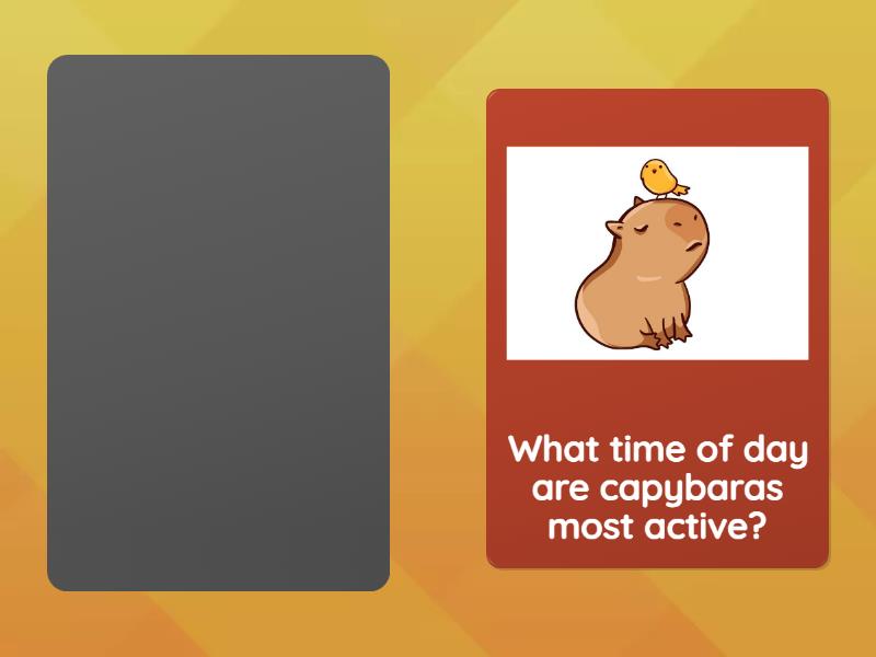 Speaking about a capybara - Speaking cards