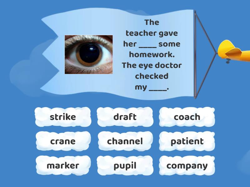 June Multiple Meaning Words - Cada oveja con su pareja