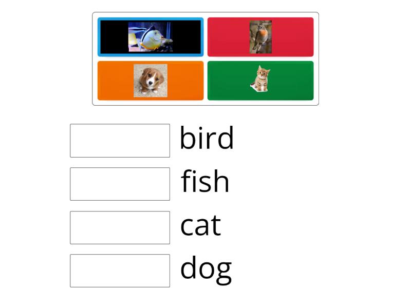 Pets Quiz Match Up