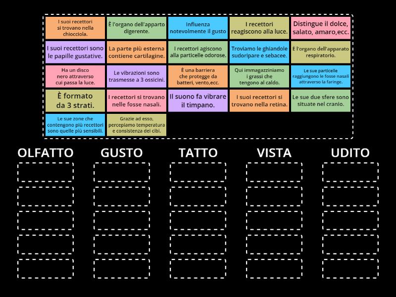 Organi di senso Group sort