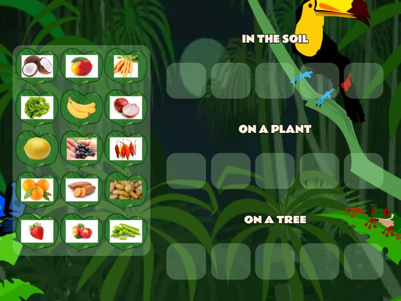 WHERE DOES FOOD GROW? - Group sort