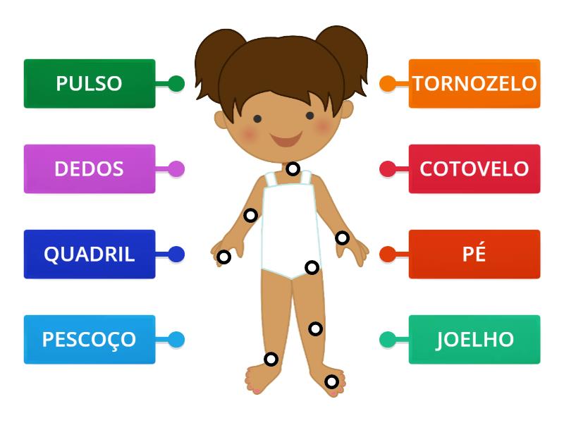 Partes Do Corpo Humano Labelled Diagram