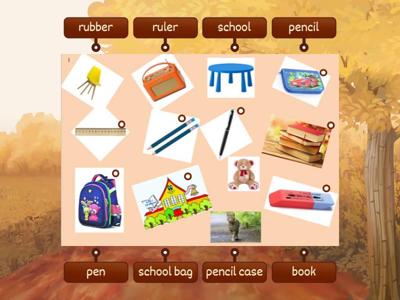 Match the labels on the diagram