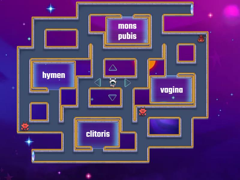 anatomy-of-female-reproductive-system-maze-chase