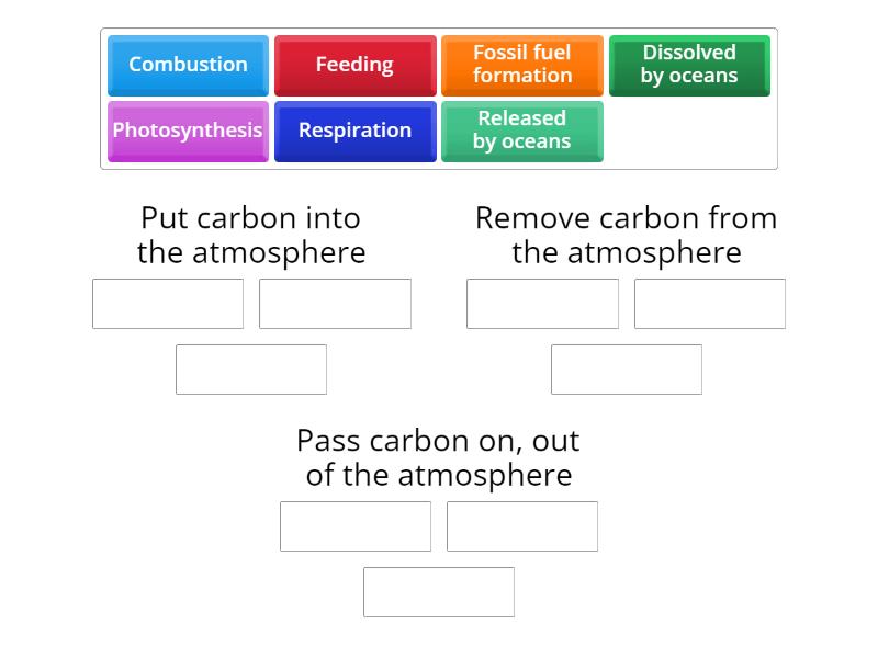 The carbon cycle - Group sort