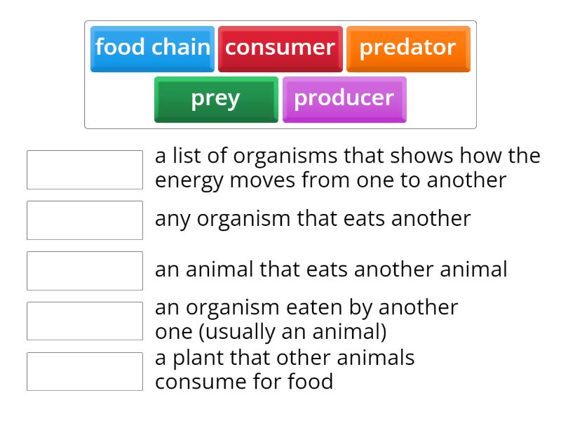 Food Chains - Match up