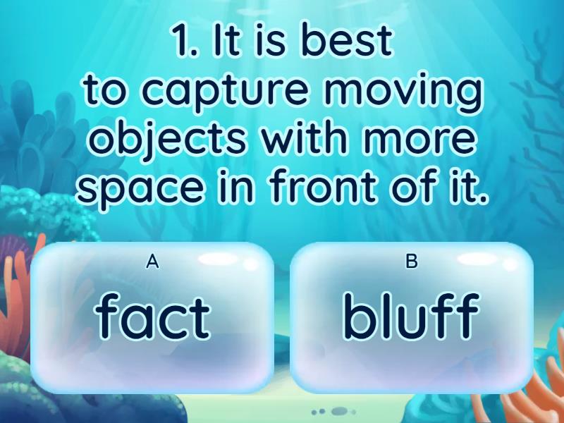 PHOTOJOURNALISM FACT OR BLUFF? Quiz