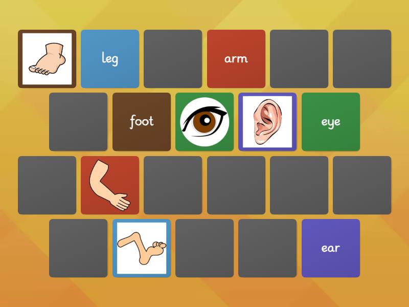 AS 1 Unit 7 Lesson 1 Body Parts Vocabulary Memo - Matching pairs