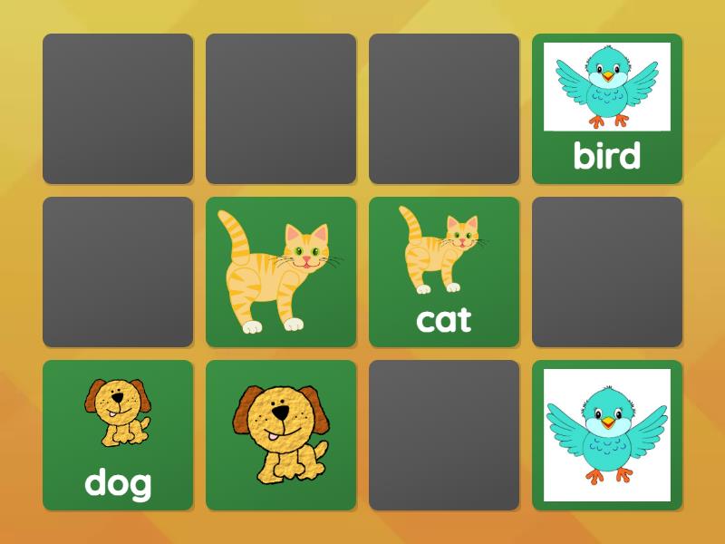 Animals 5ABC 2024 - Matching pairs