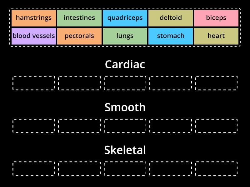 Types of Muscle Sort - Group sort