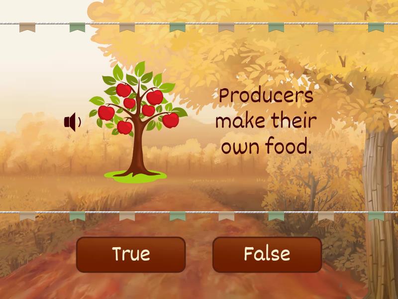 Producers, Consumers and True or false