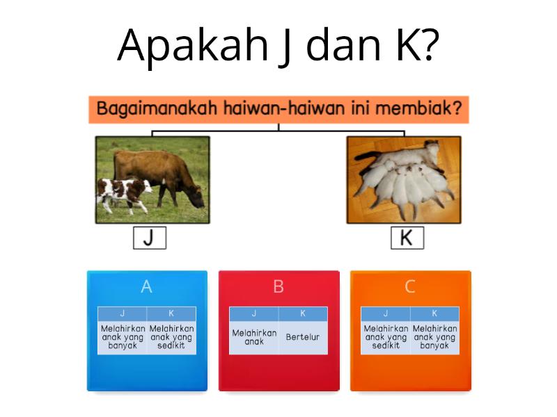 Beranak Sedikit, Beranak Banyak (Tahun 2) - Quiz