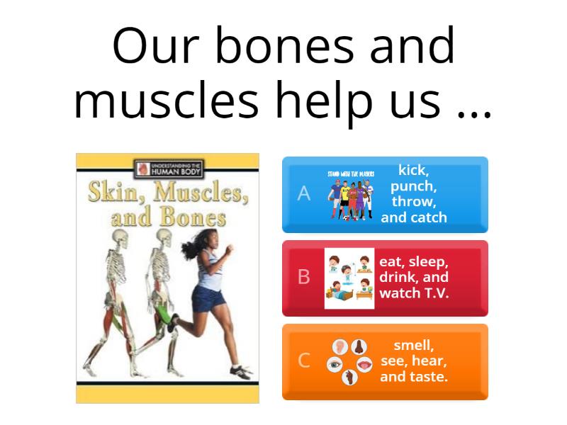 bones-and-muscles-quiz