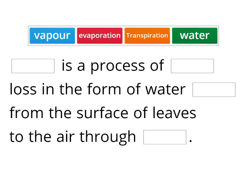 transport-system-in-plants-part-1-missing-word