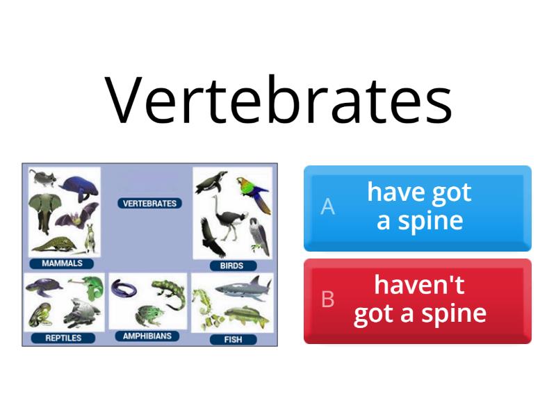 Vertebrates And Invertebrates - Quiz