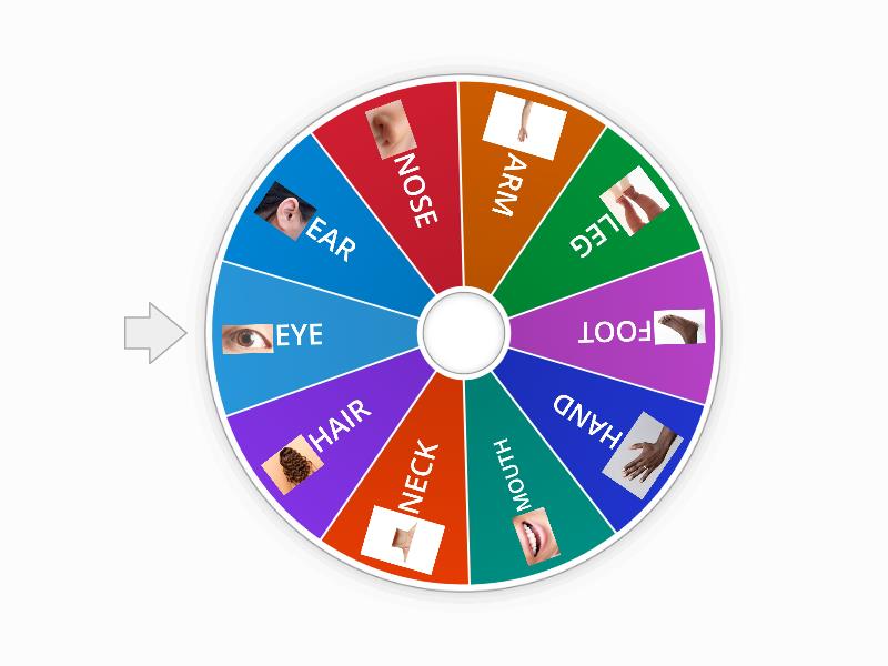 My Body Parts - Spin the wheel