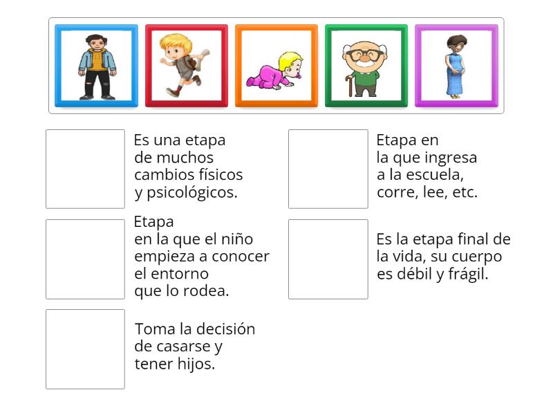 Etapas de la vida. - Match up