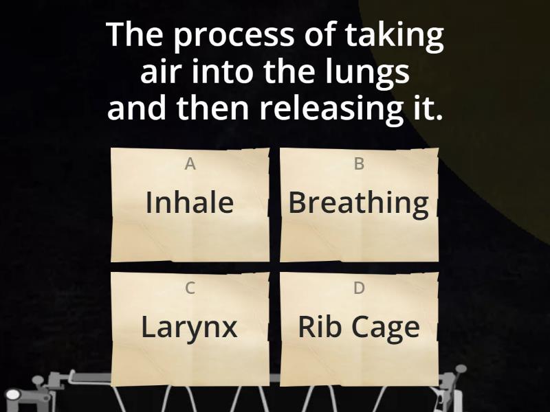 Organs of respiratory system quiz