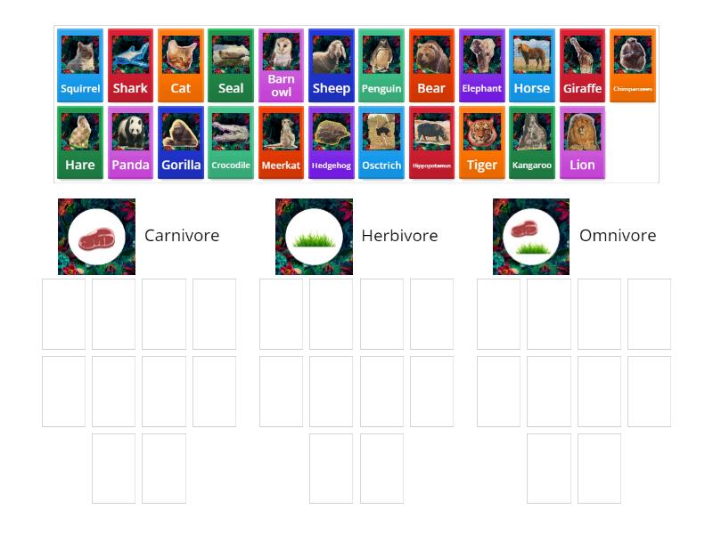 Carnivore, Herbivore or Omnivore? - Group sort