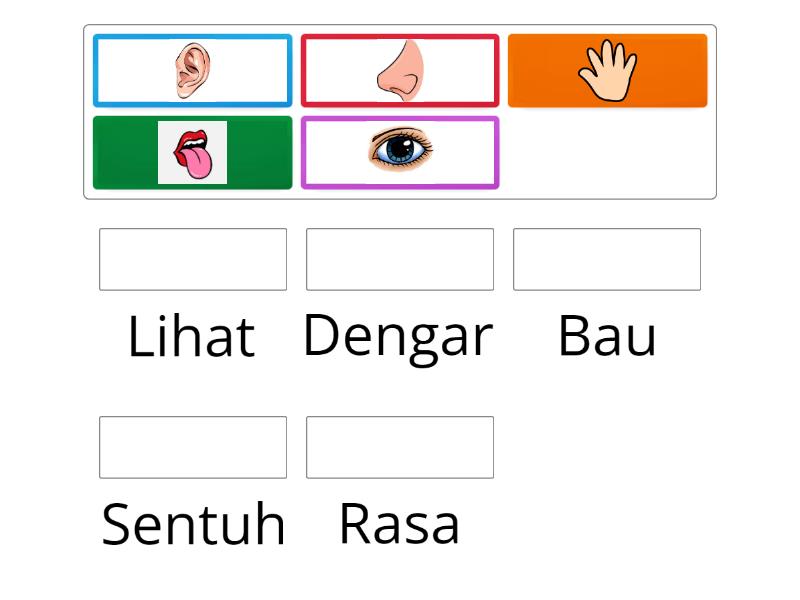 Padankan setiap deria dengan organnya. - Match up