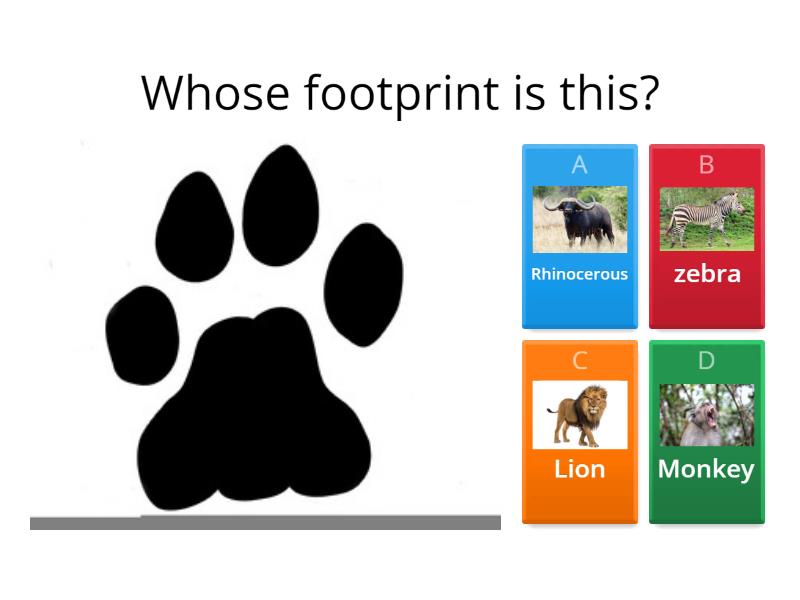 Match the animal footprints - Quiz