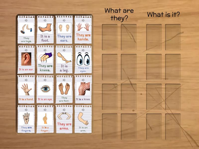 Body Parts - plural/singular - Group sort