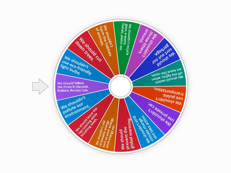 7th Grade, 9th UNIT: ENVIRONMENT﻿ - Spin the wheel
