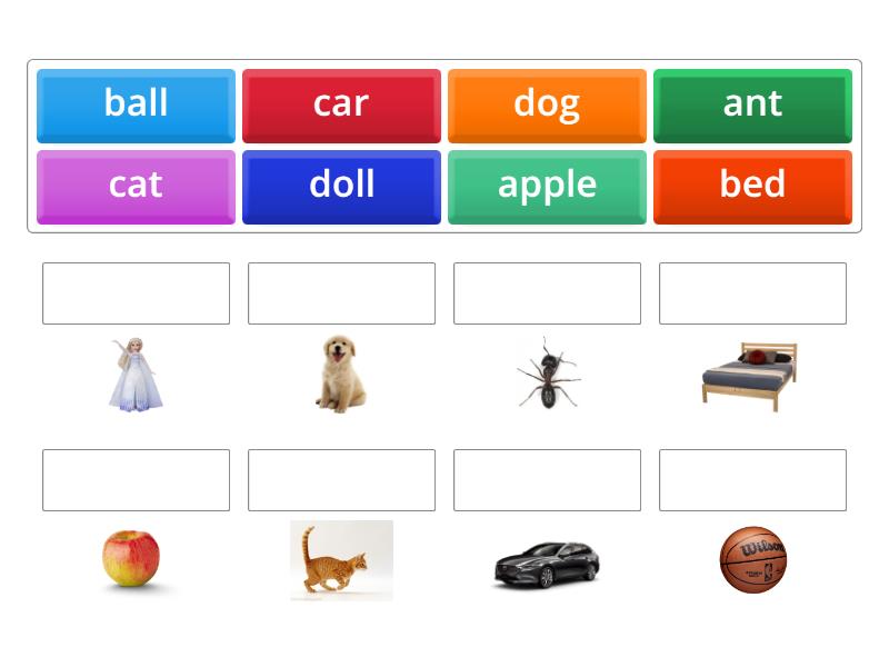 abcd vocabulary - Match up