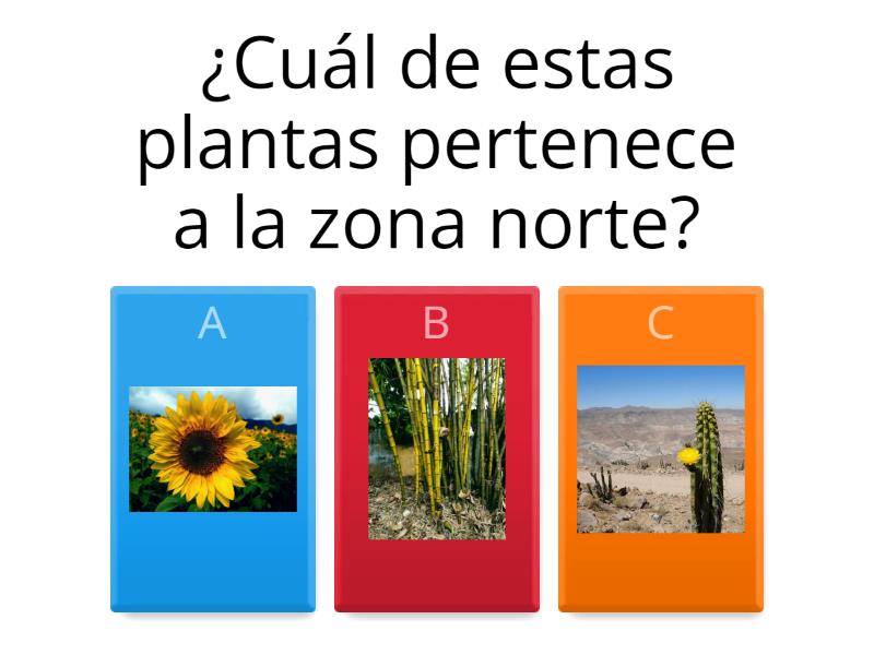 Flora y Fauna norte de chile. - Quiz