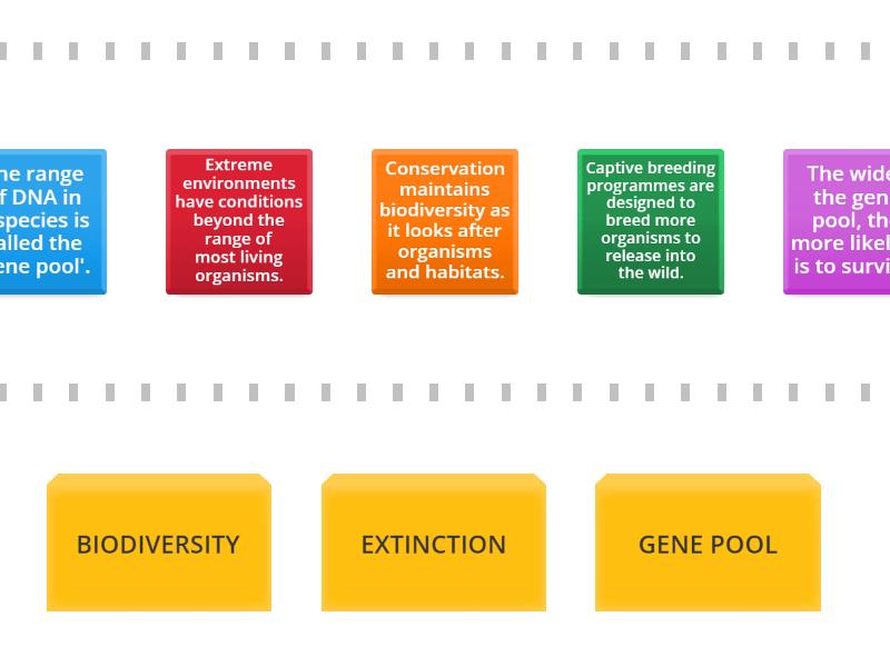 Ecosystems and habitats - Speed sorting