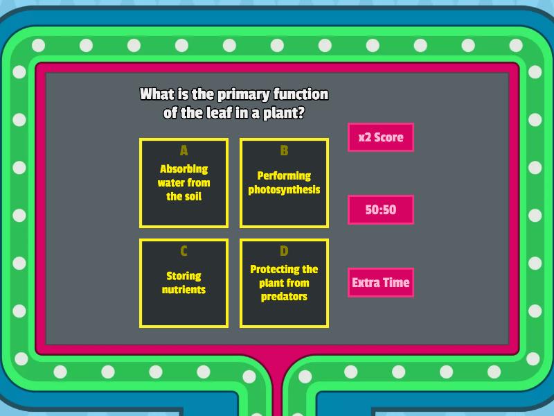 External and Internal Structure of Leaf (Formative) Game show de TV