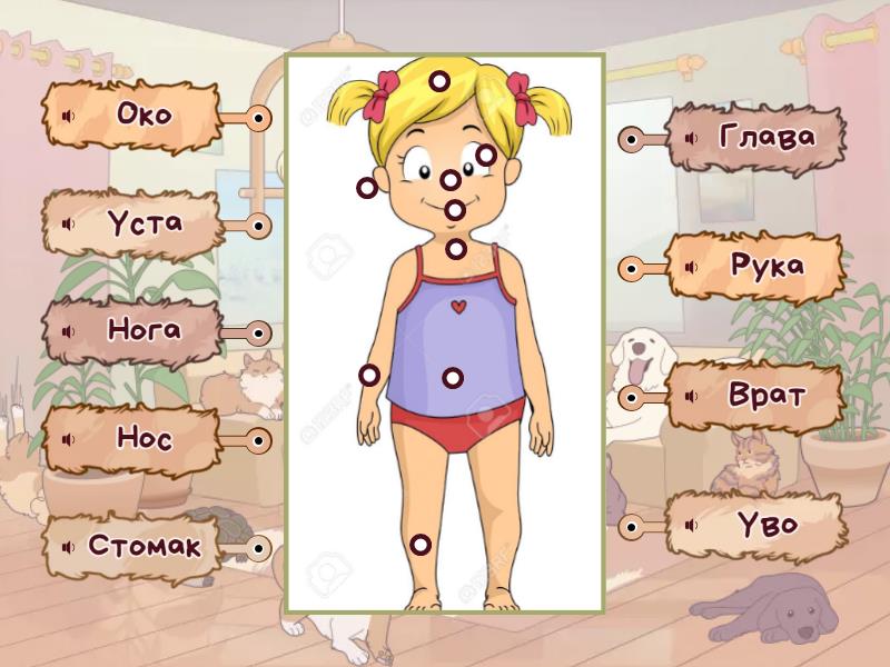 Делови тела човека - Labelled diagram