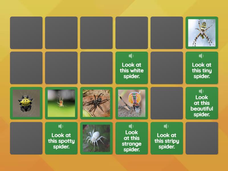 Spiders - Matching pairs