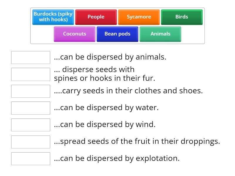 KS3 Seed Dispersal - Match up