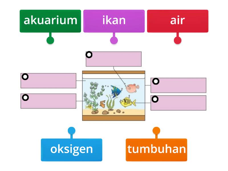 5.2 TIGA KEADAAN JIRIM - Labelled Diagram