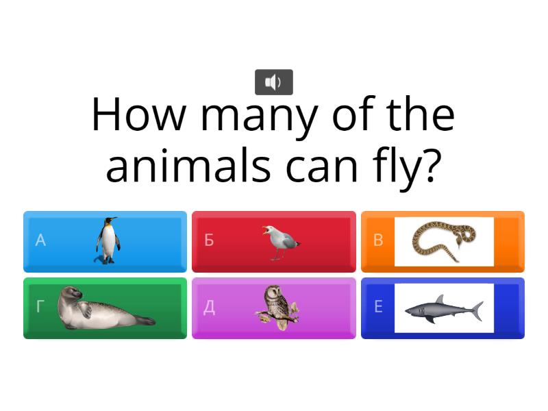 wild-animals-2-quiz