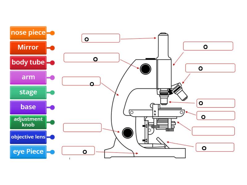 microscope - Labelled diagram
