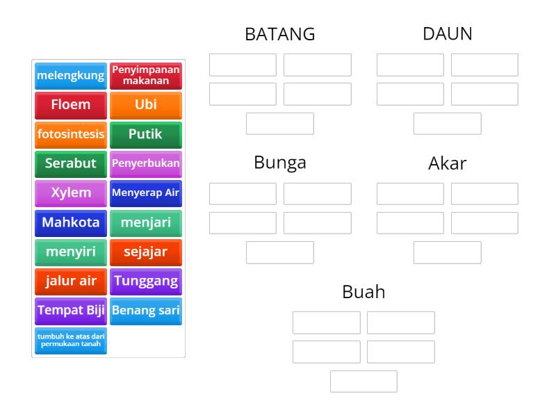 BAGIAN-BAGIAN TUMBUHAN - Group sort
