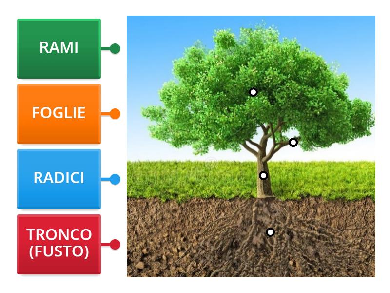Expositor De Parede - COMP/29 -  Srl - Em Vidro / Da Linha Comercia - Foto 4