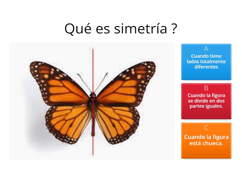 Simetría - Cuestionario