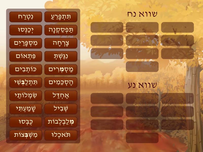 שווא נח ושווא נע - התאימו כל שווא למקומו המתאים - מיון קבוצה