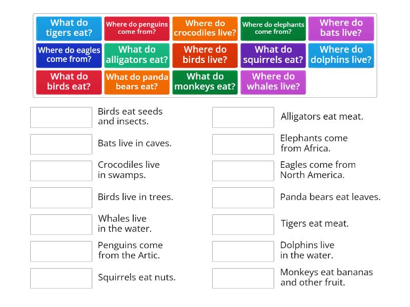 wh questions - Animals - Match up