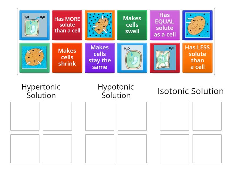 Hypertonic, Hypotonic, & Isotonic - Group sort